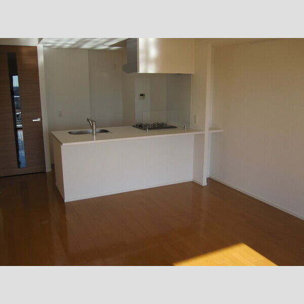 居室・リビング (カウンターキッチン)