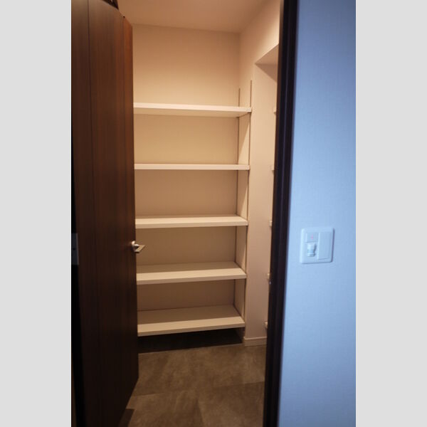 収納 (玄関横シューズBOX)
