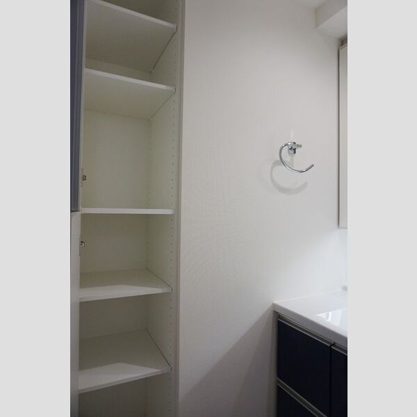 洗面所 (洗面リネン庫)