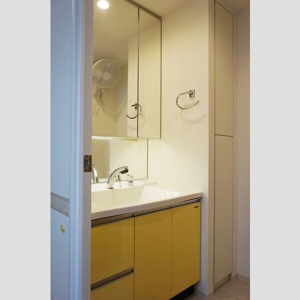 洗面所 (カウンタータイプ　　洗面リネン庫あり)