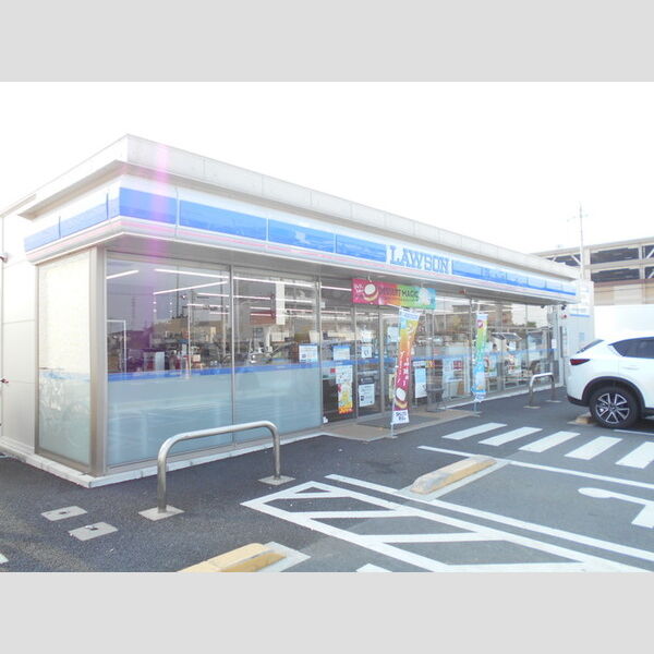 現地周辺 (ローソン桶川下日出谷南店)