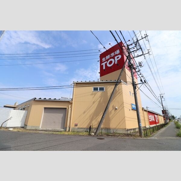 現地周辺 (マミーマート生鮮市場TOP蓮田山ノ内店)