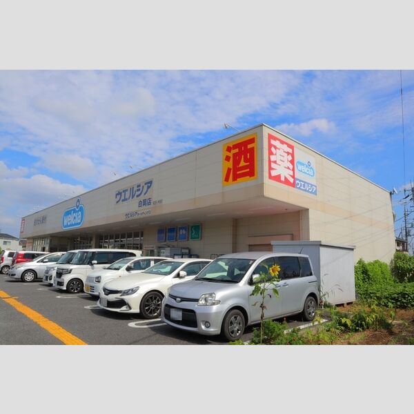現地周辺 (ウエルシア白岡店(550m))