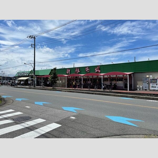 現地周辺 (ヤオヒロ小泉店)
