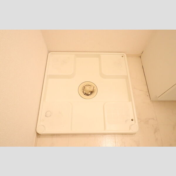 洗面所 (室内洗濯機置き場)