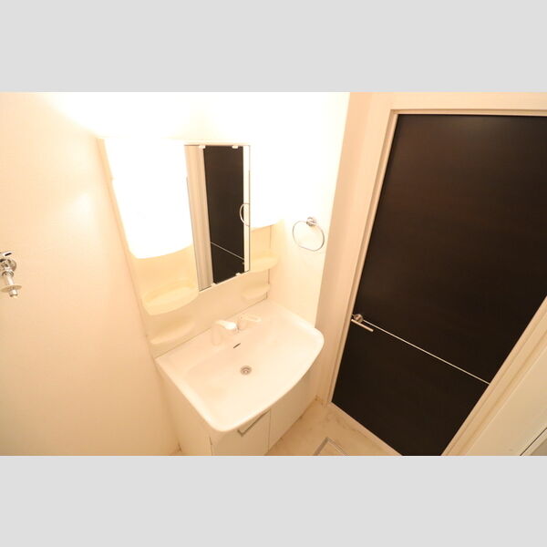 洗面所 (洗髪洗面化粧台)