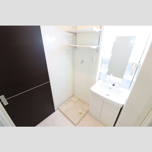洗面所 (洗髪洗面化粧台)