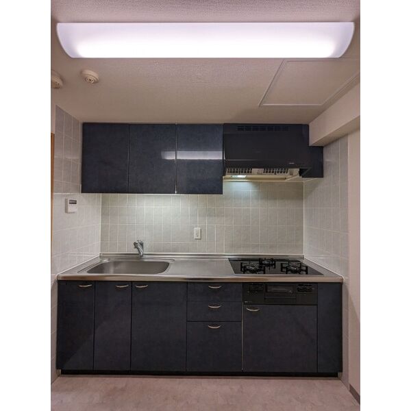 THE　RESIDENCE　PARK　ODORIKOEN 画像9